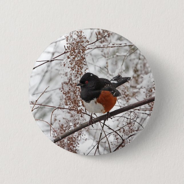 Winter Bird in the Snow Pinback Button (Front)