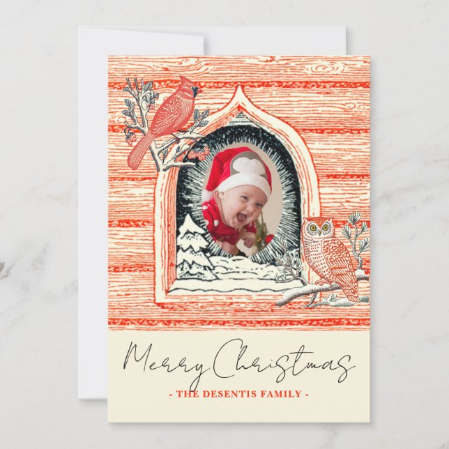Winter Bird Nature Scene Photo Christmas Holiday Card (Front)