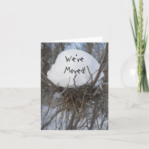 Winter Bird Nest Change of Address Announcement