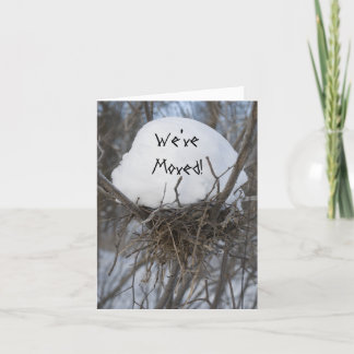 Winter Bird Nest Change of Address Announcement