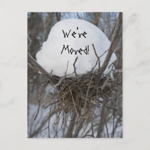 Winter Bird Nest Change of Address Announcement Postcard