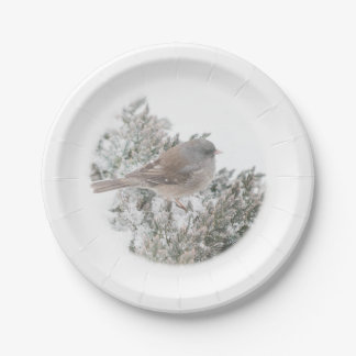 Winter Bird Paper Plate