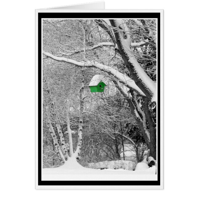 Winter Birdhouse Cards (Front)