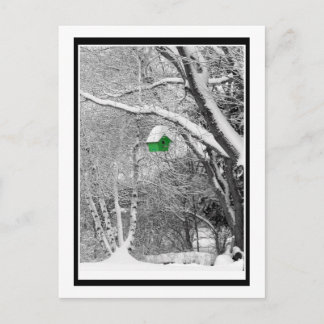 Winter Birdhouse Postcard