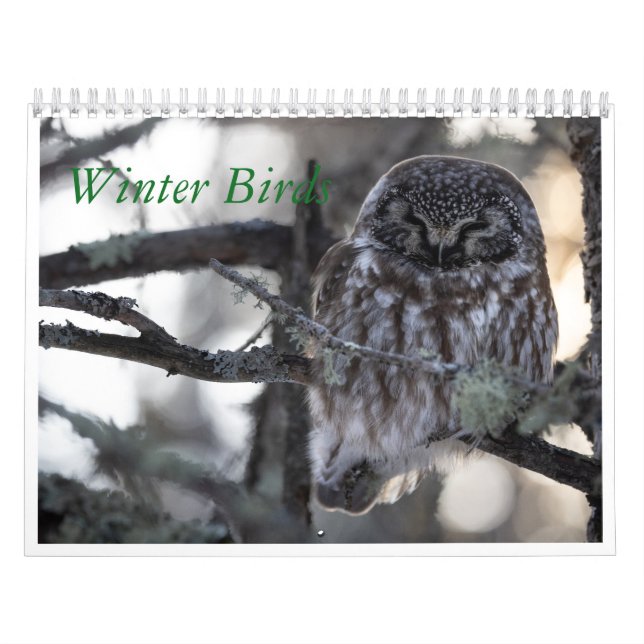 Winter Birds Calendar (Cover)