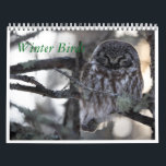 Winter Birds Calendar<br><div class="desc">This is a compilation of wintery bird photographs.</div>