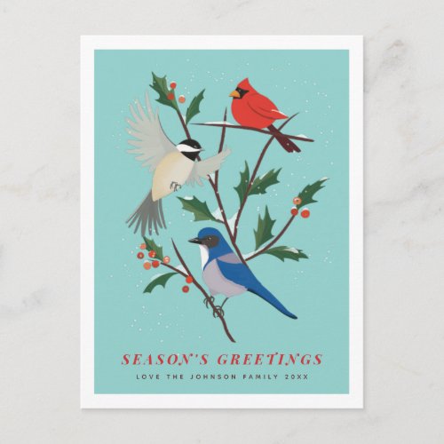Winter Birds Illustrated Holiday Postcard