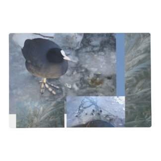 Winter Birds on Ice Placemat