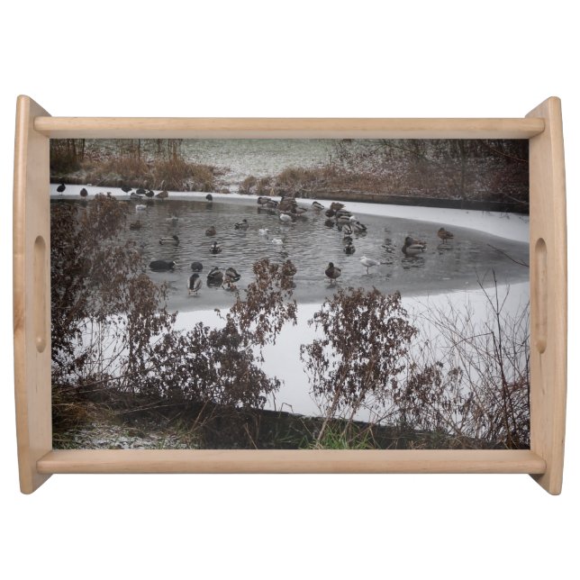 Winter Birds on Ice Serving Tray (Front)
