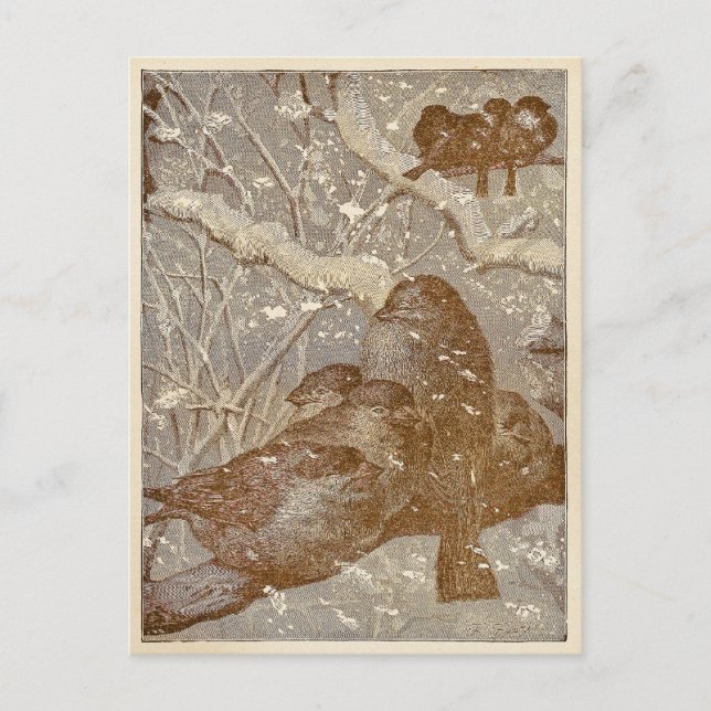 Winter Birds Postcard (Front)