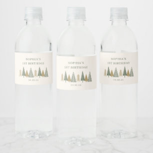 Winter Birthday Party  Water Bottle Label