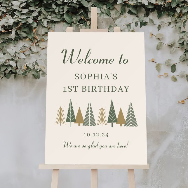 Winter Birthday Party Welcome Sign (Creator Uploaded)