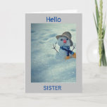 **WINTER BIRTHDAY TO MY *SISTER* CARD<br><div class="desc">GIVE OR SEND THIS TO "***YOUR SISTER***  AND,  THANKS FOR STOPPING BY ONE OF MY EIGHT STORES! REMEMBER YOU CAN CHANGE OR ADD TO THE "VERSES" IN AND OUT IF YOU WISH IN SECONDS!</div>