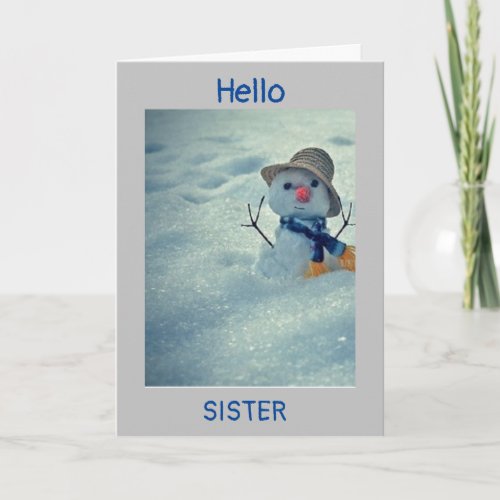 WINTER BIRTHDAY TO MY SISTER CARD