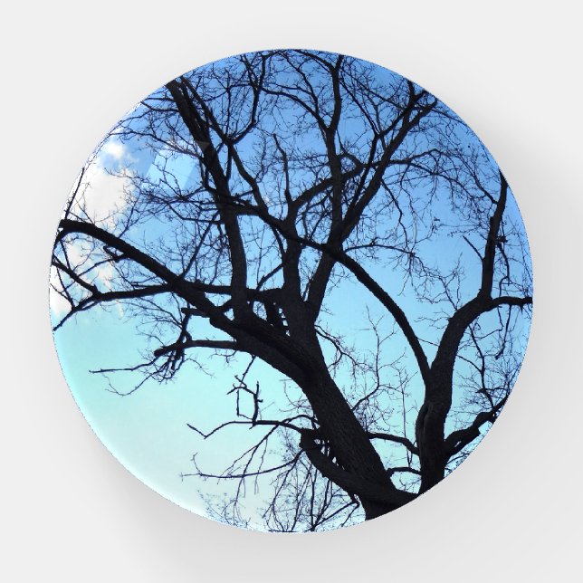 Winter Black Walnut Tree Paperweight (Front)