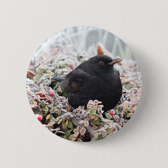 Winter Blackbird Button (Front)