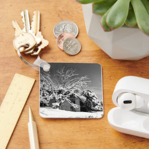 Winter Blast B+W Keychain