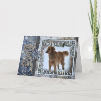 Winter Bliss GR Holiday Card