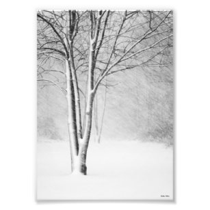 Winter Blizzard Snowy Tree White-Out Abstract Photo Print