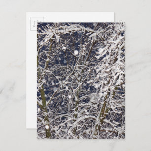 Winter Blizzard Storm Snowy Tree Nature Photograph Postcard