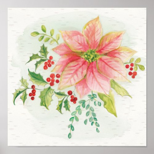 Winter Blooms  Pink Blooming Poinsettia Poster