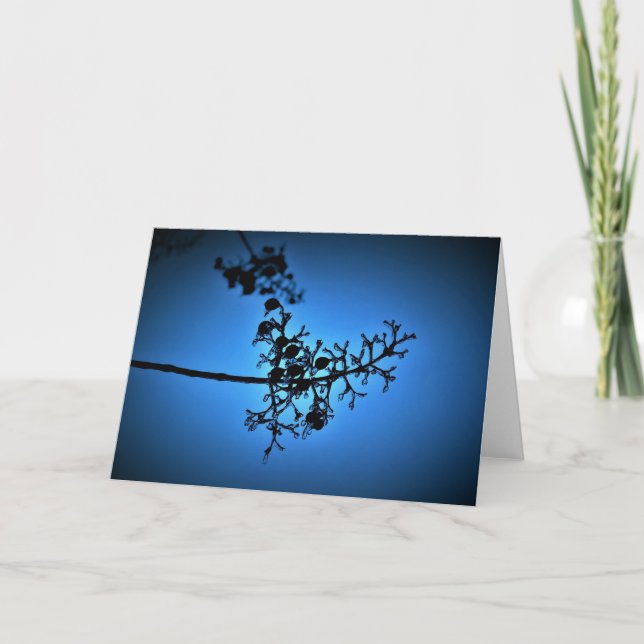 Winter Blue, card (Front)