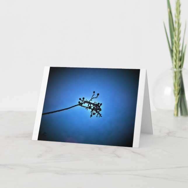 Winter Blue, card (Front)