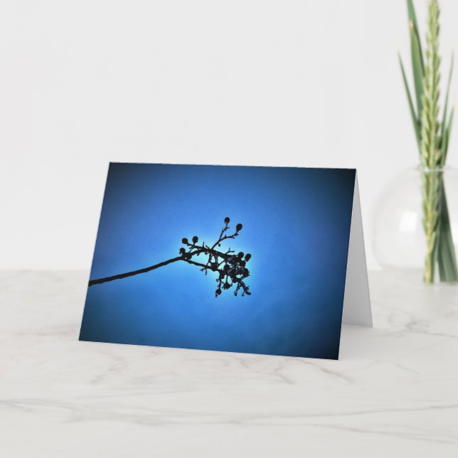Winter Blue, card (Front)