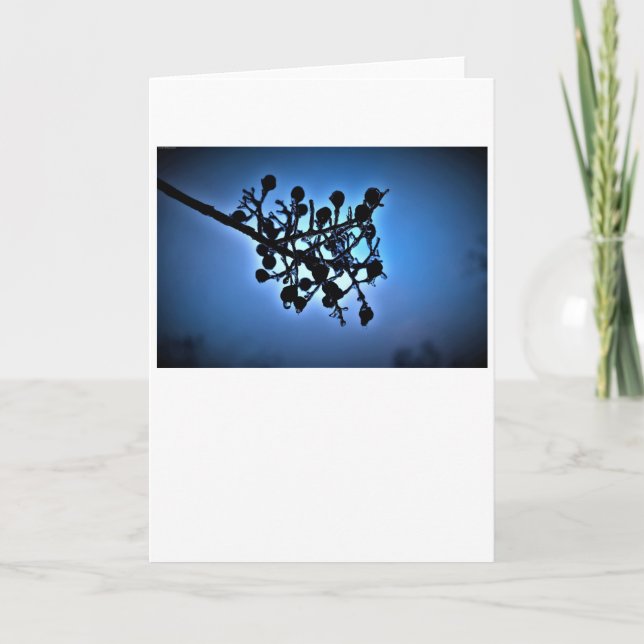Winter Blue, card (Front)
