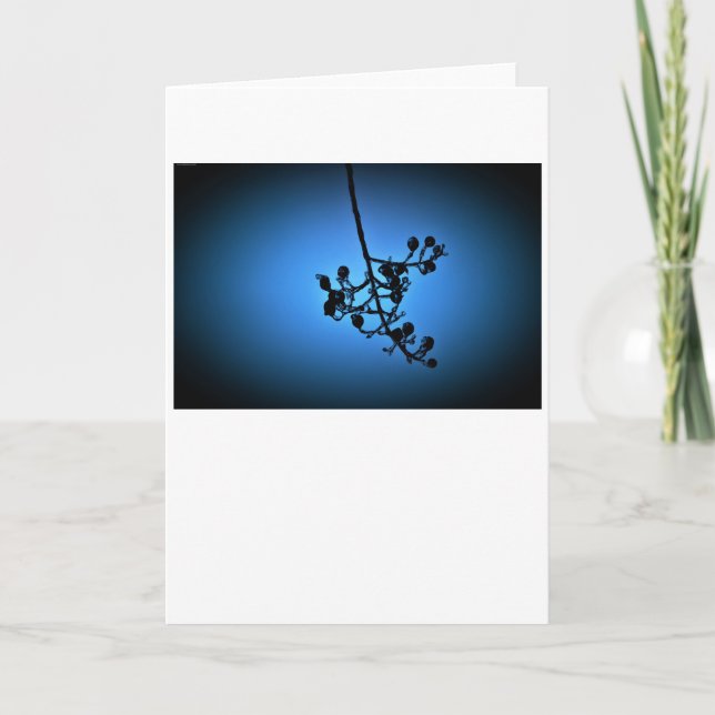 Winter Blue, card (Front)