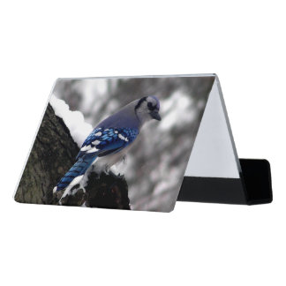 Winter Blue Jay Desk Business Card Holder