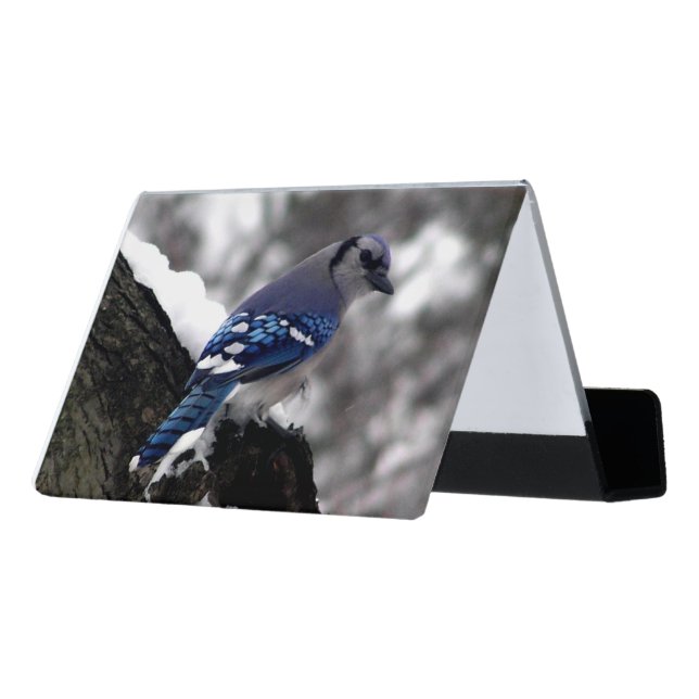 Winter Blue Jay Desk Business Card Holder (Angled Back)