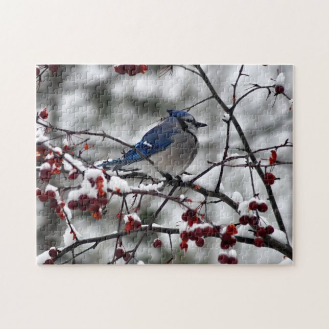 Winter Blue Jay Jigsaw Puzzle (Horizontal)