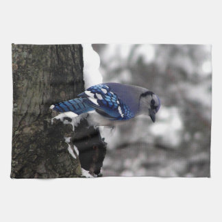 Winter Blue Jay  Kitchen Towel