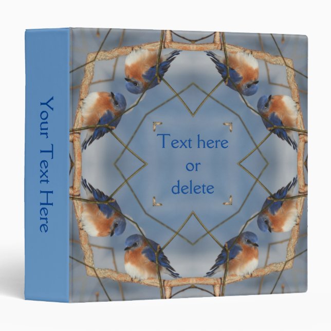 Winter Bluebird Abstract Art Nature  3 Ring Binder (Front/Spine)