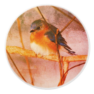 Winter Bluebird Abstract Distressed Grunge Ceramic Knob