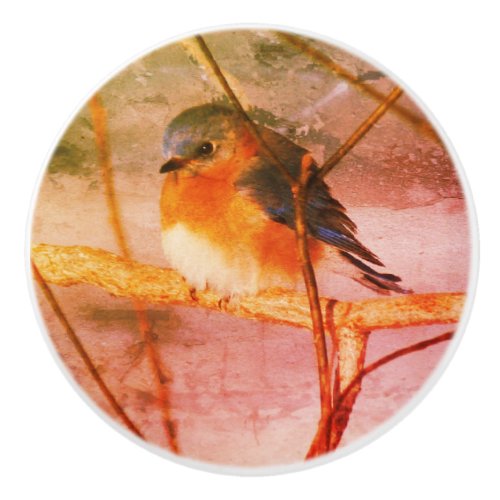 Winter Bluebird Abstract Distressed Grunge  Ceramic Knob