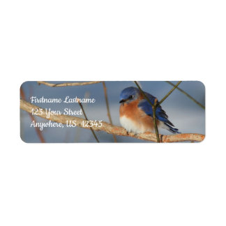 Winter Bluebird Animal Address Label