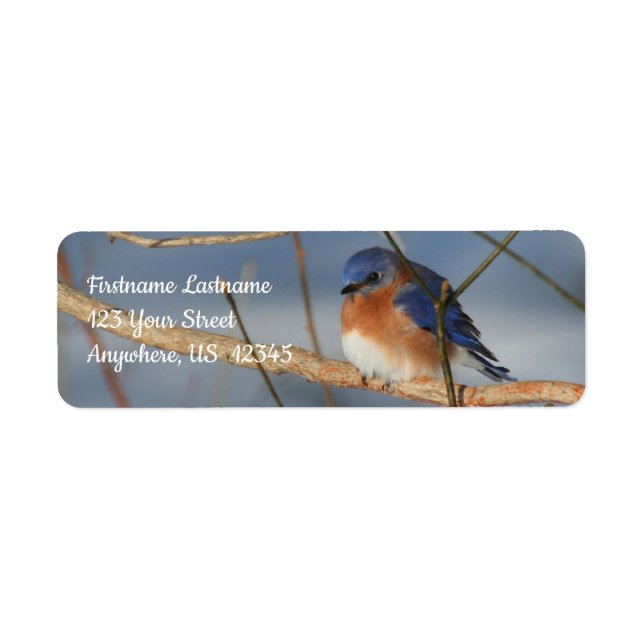 Winter Bluebird Animal Address Label (Front)