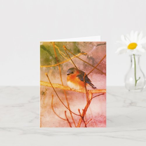 Winter Bluebird Animal Art Note Card