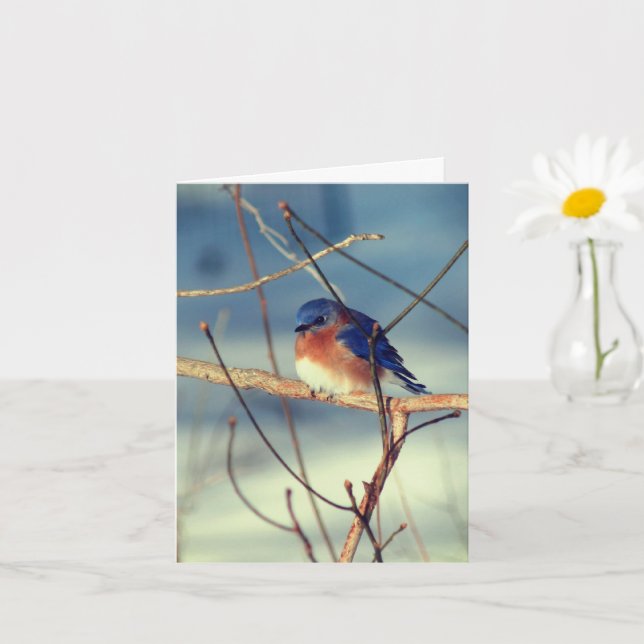 Winter Bluebird Animal Note Card (Small Plant)