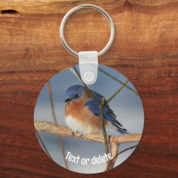 Winter Bluebird Animal Personalized Keychain by SmilinEyesTreasures at Zazzle