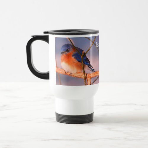 Winter Bluebird Animal Personalized  Travel Mug