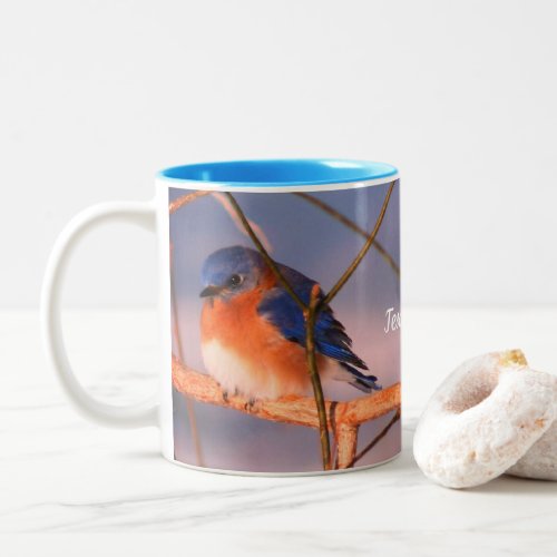 Winter Bluebird Animal Personalized Two_Tone Coffee Mug