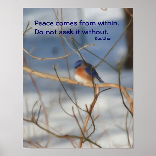 Winter Bluebird Buddha Quote Inspirational Poster