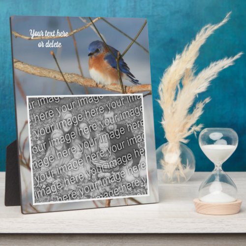Winter Bluebird Create Your Own Photo Plaque