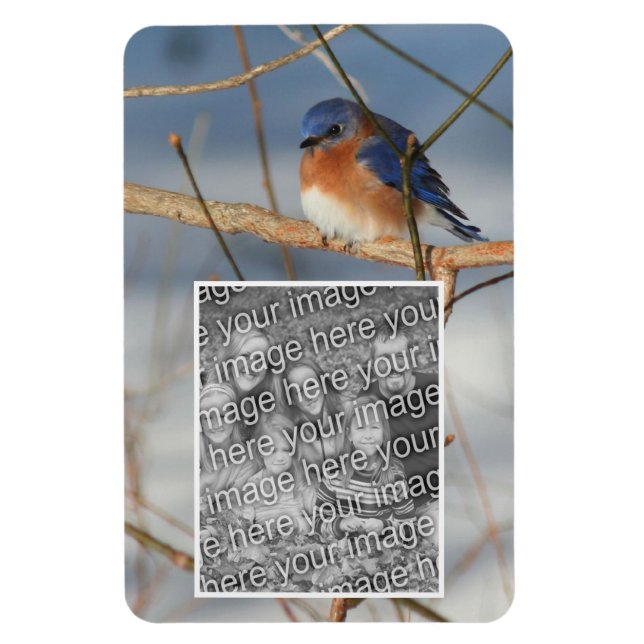 Winter Bluebird Frame Create Your Own Photo Magnet (Vertical)