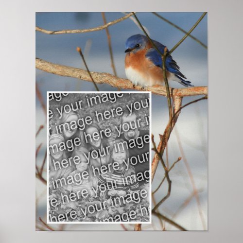 Winter Bluebird Frame Create Your Own Photo Poster