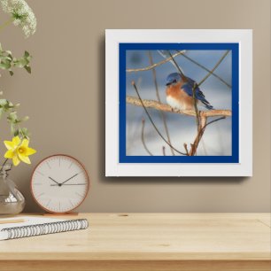 Winter Bluebird Framed Art