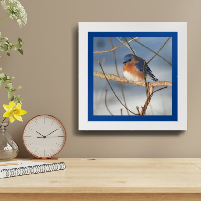 Winter Bluebird Framed Art (Table Top)